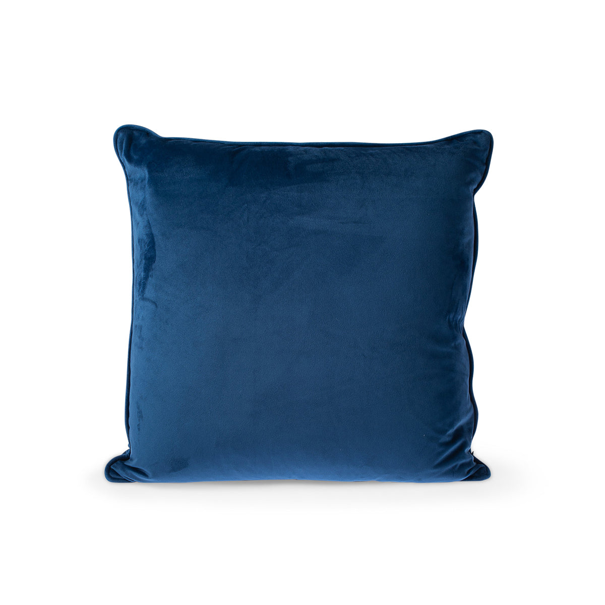 Carla Blue Cushion Feather
