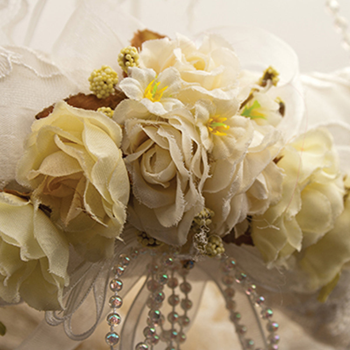 Cream Rose