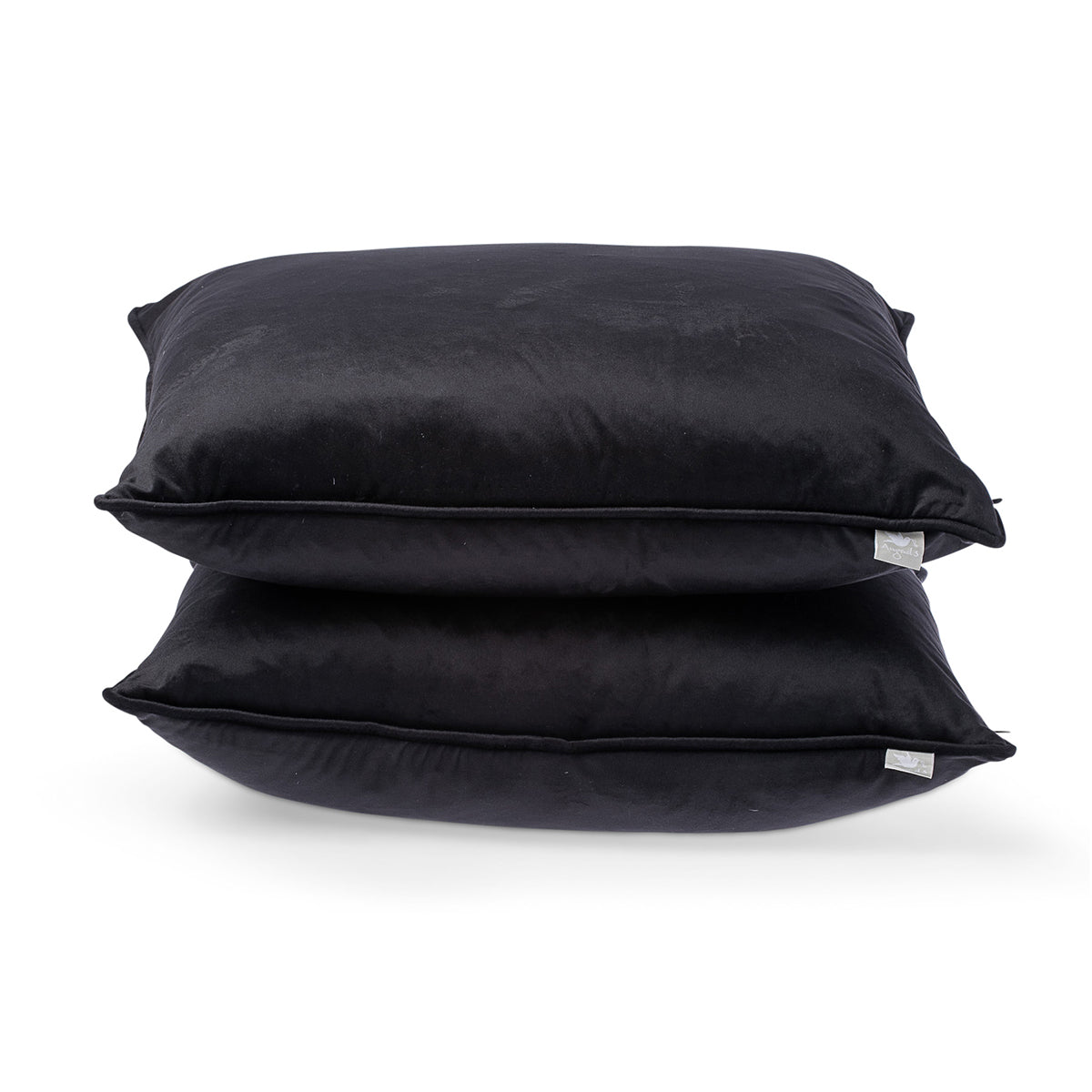 Carla Black Cushion Feather