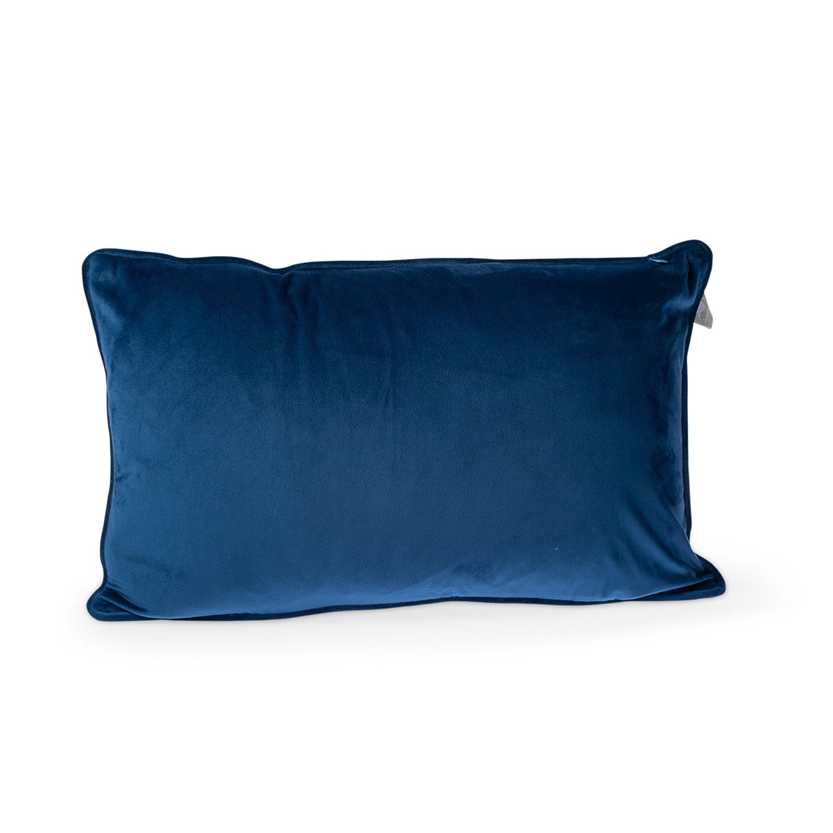 Carla Blue Cushion Feather